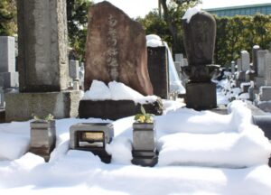 26.2.10大雪 ブログ用