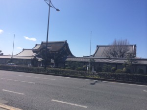 京都三月 (2)