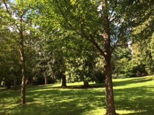 IMG_4374