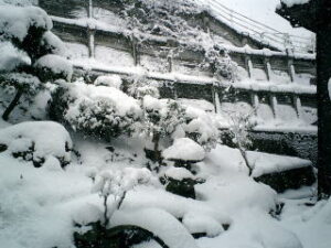 CIMG0197