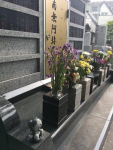 10C9AA6C-D1CB-4D4D-A0EB-21831F902CF4