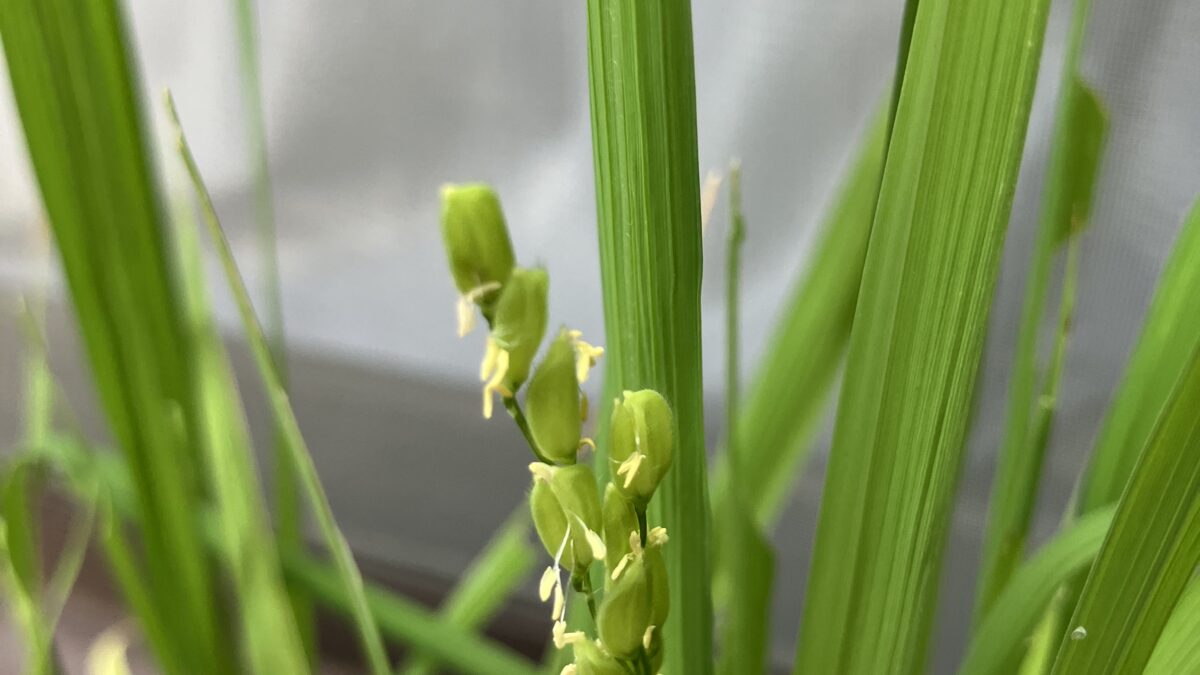 9月