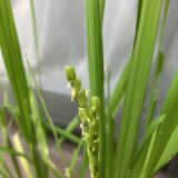 9月